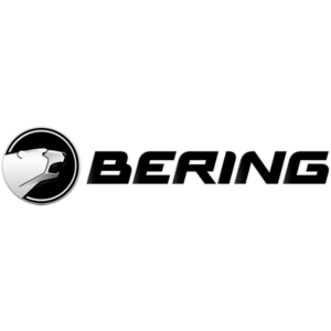 Logo bering